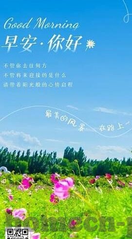 森林舞会压分打法-森林舞会中的策略与智慧，压分打法的艺术